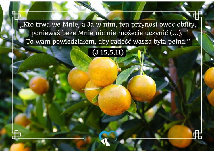 Kto trwa&nbsp;we&nbsp;mnie ten przynosi owoc obfity